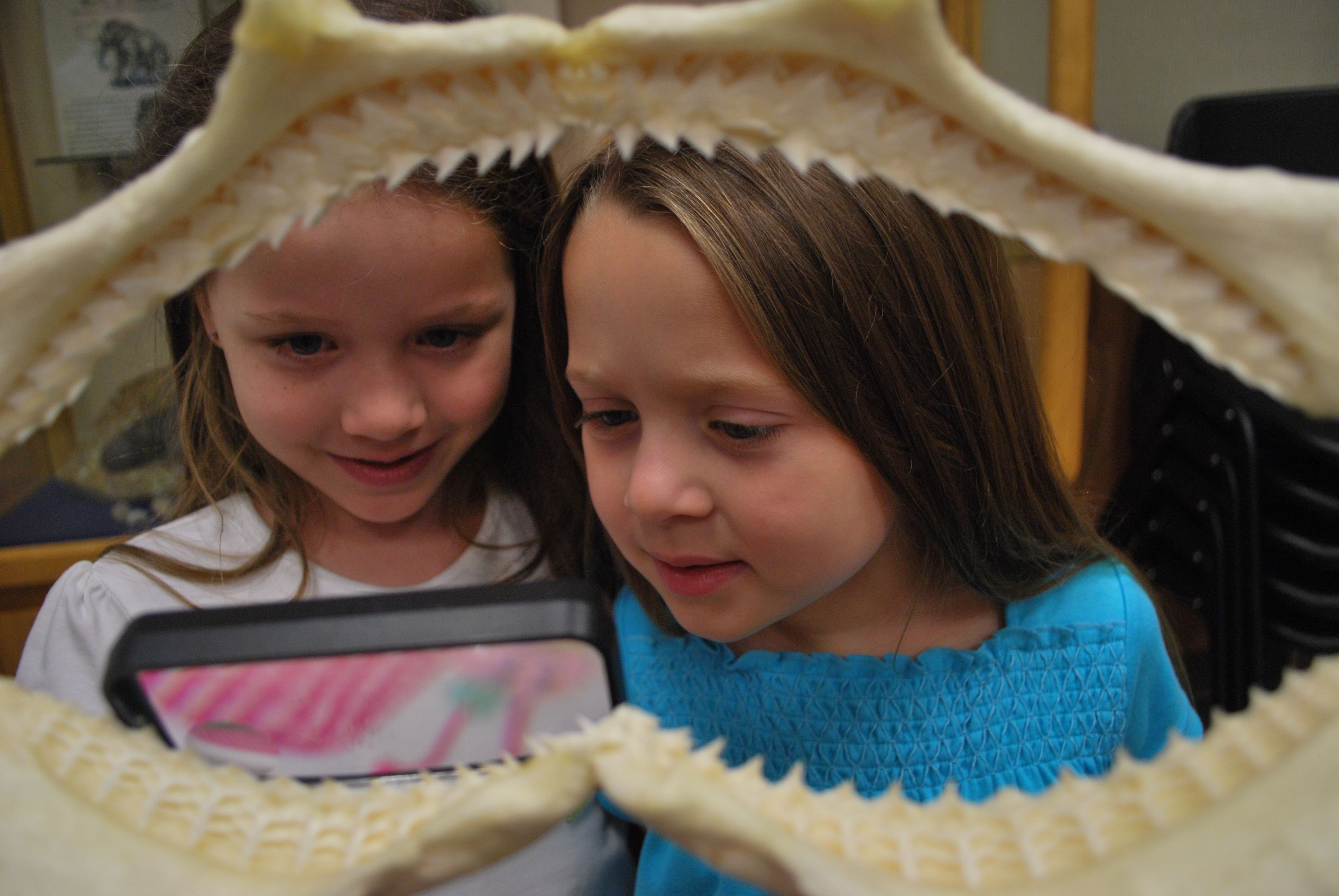 shark jaw and little girls