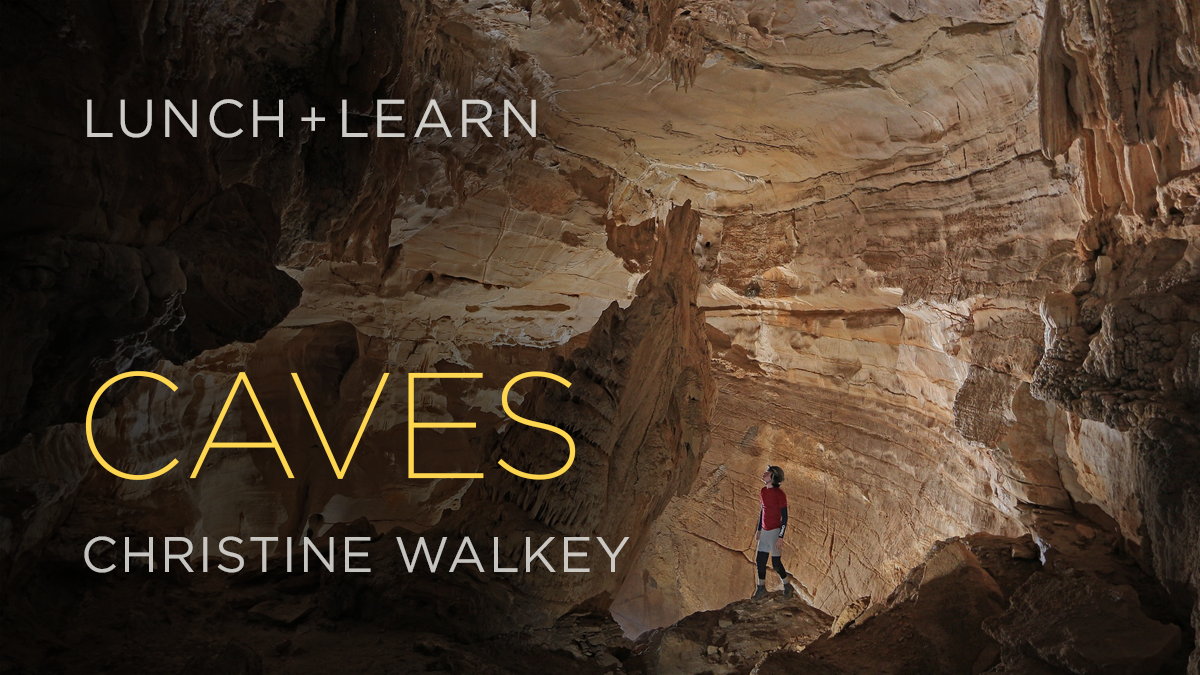 Lunch + Learn: Caves at Tellus Science Museum