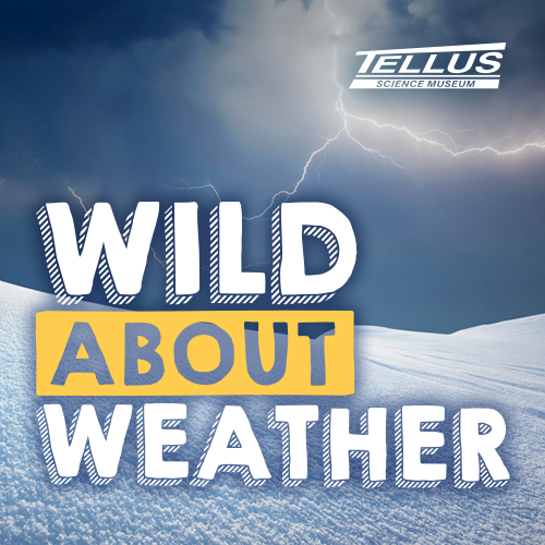 Wild About Weather at Tellus Science Museum