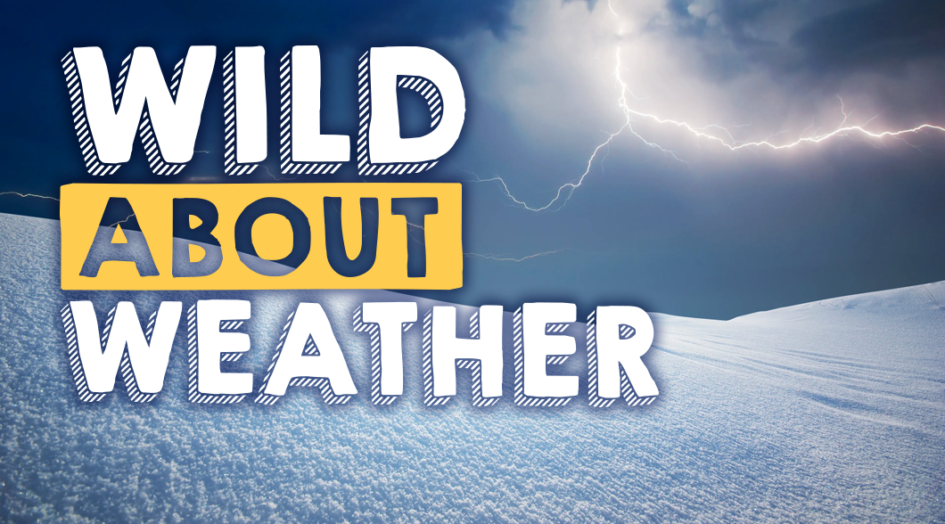 Wild About Weather at Tellus Science Museum