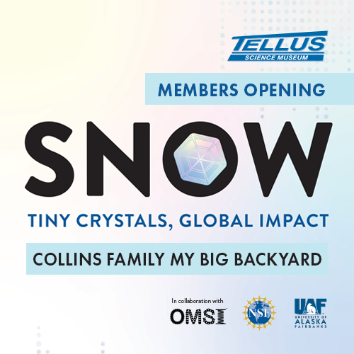 Snow Exhibit Member Preview at Tellus Science Museum