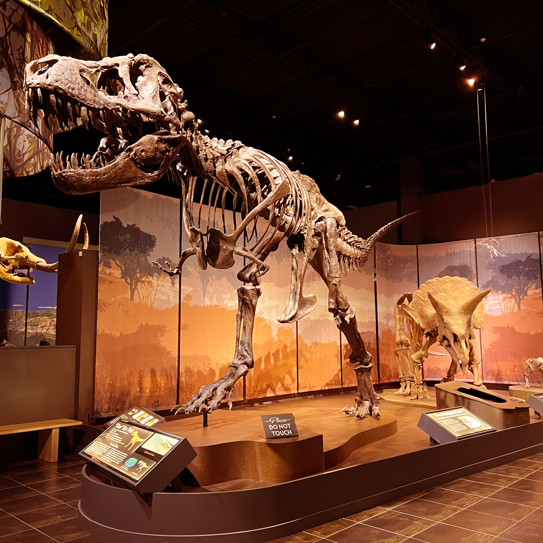 Fossil Friends Field Trip at Tellus Science Museum