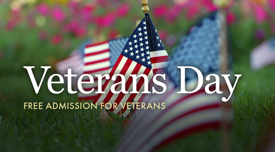 Veterans Day at Tellus Science Museum