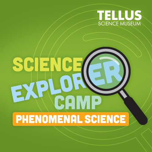 Phenomenal Science Summer Camp at Tellus Science Museum