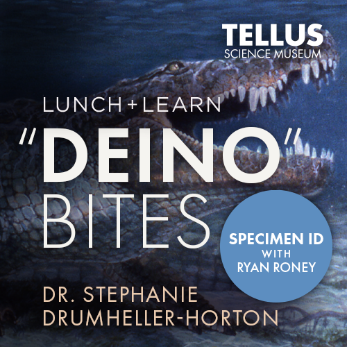 Deino Bites Lunch + Learn at Tellus Science Museum