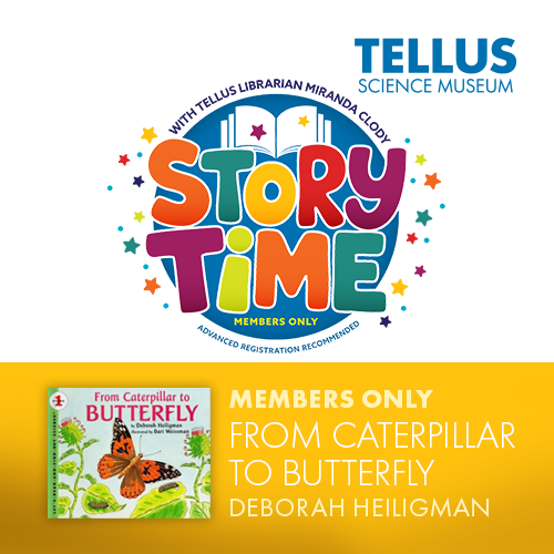 From Caterpillar to Butterfly Story Time at Tellus Science Museum