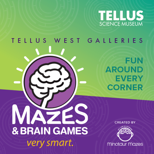 Mazes and Brain Games at Tellus Science Museum